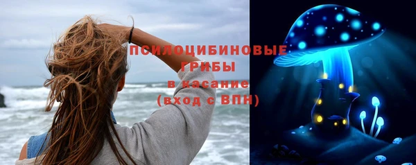 а пвп мука Алзамай