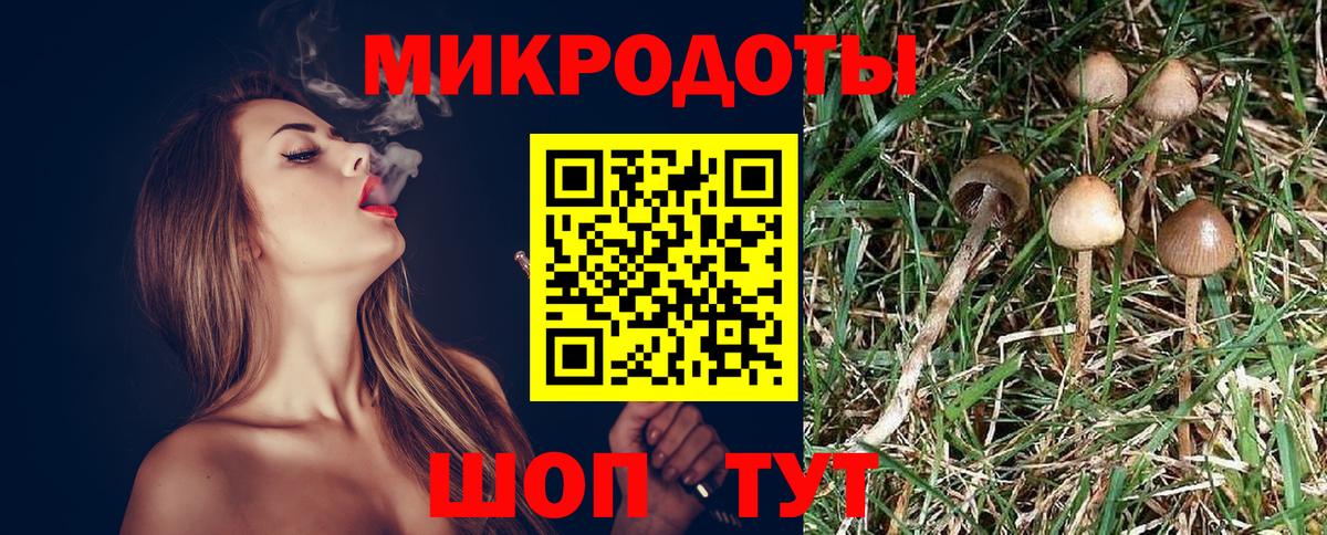 Галлюциногенные грибы Psilocybine cubensis  Вход с VPN  Ирбит 
